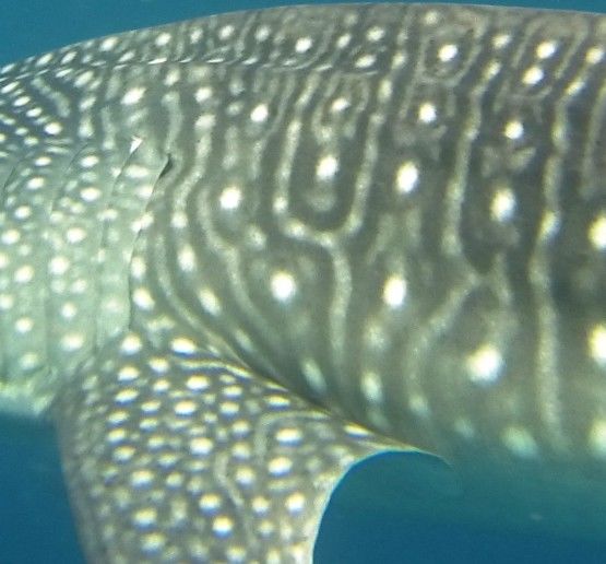 1866eb0f-f592-4f8c-9ad7-15eb00941b52