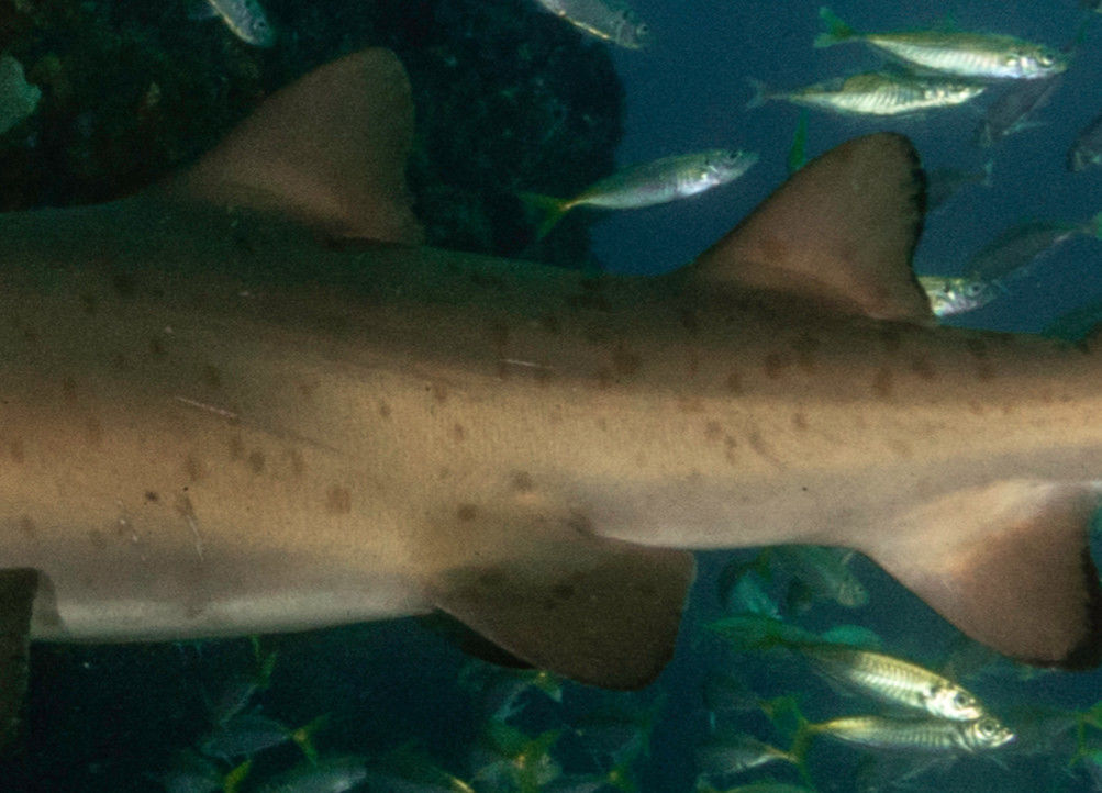 1f59f93b-4f60-46ca-af3f-b14902574ee8