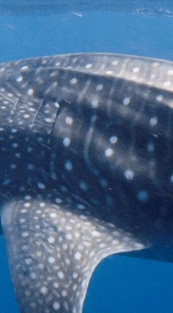 f9c87a22-e6a8-4df7-8d14-21f3133066df