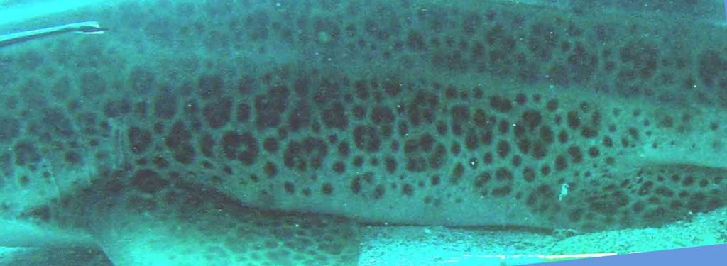 2b7e6bd0-55ec-4503-8702-f4c45597de4f