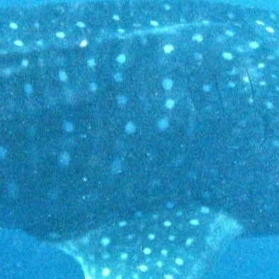 d6c6f5b2-29f7-4f86-ad13-5b85fad5c5c9