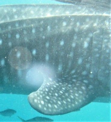 e7e64d88-44a7-4d6d-86a6-8f8f1f29b74b