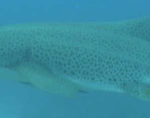 40057ba2-b1a4-4a0e-8320-99a4f87175da