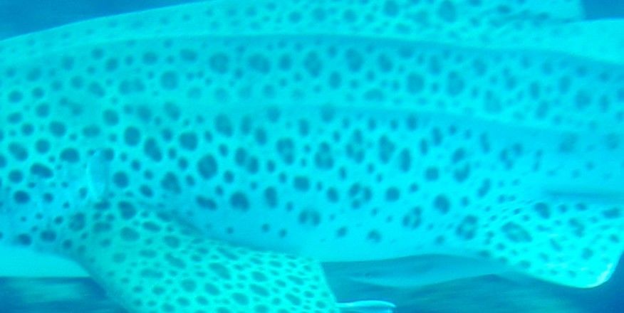 3df719bb-338f-4bfa-817d-5b850e189dda