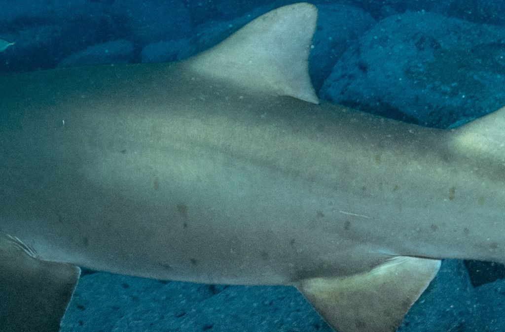 a54754f3-be26-46f1-b1b4-fd85b4a48b3c