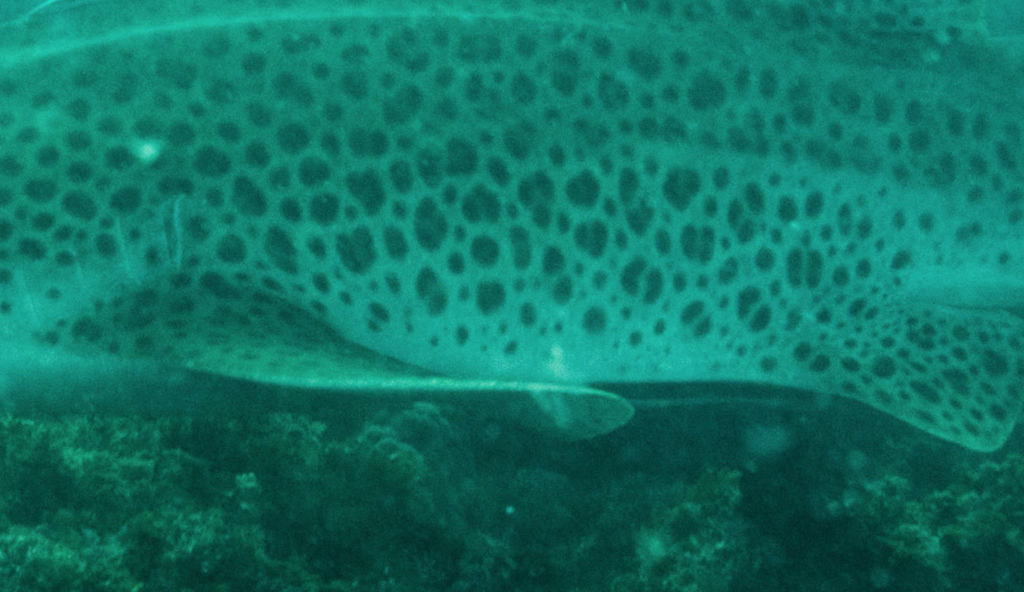 9779591a-3305-42a3-a038-8320758d8b99