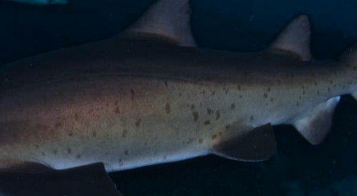 11d0d9fd-674a-4a20-af5a-17d234fcdaea