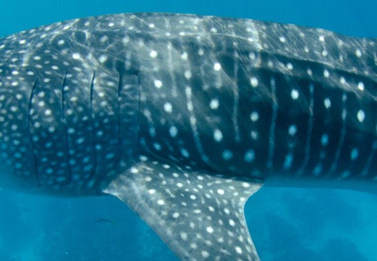 cdc9b184-e291-4157-8b2d-0ae9508221c4