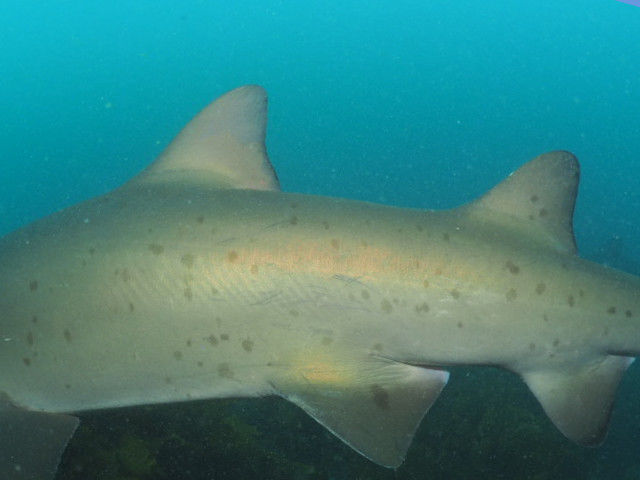 bda3b337-8779-4ef8-9426-505e5a5939ca