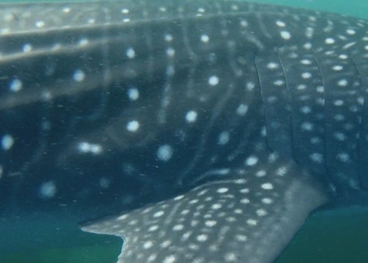 dc1c0b5e-89a6-4a39-b36f-5e8616ec8409