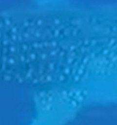 b9a326f9-8aab-41f5-aeaa-258f2d59a596