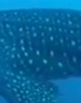 b9a326f9-8aab-41f5-aeaa-258f2d59a596