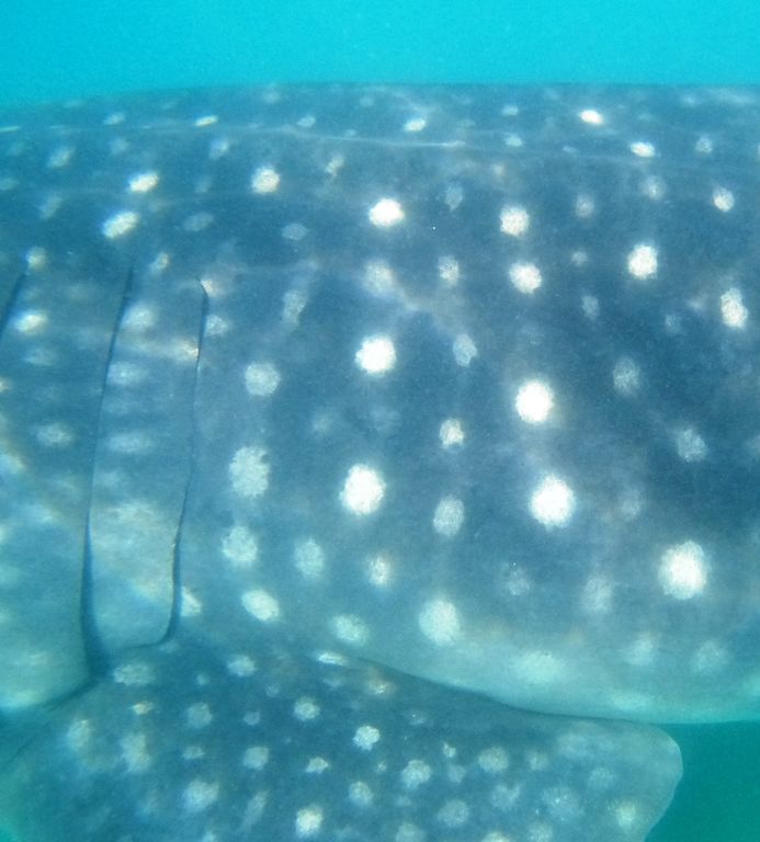 3504e27e-2993-4739-afb3-ee9f11a09edb