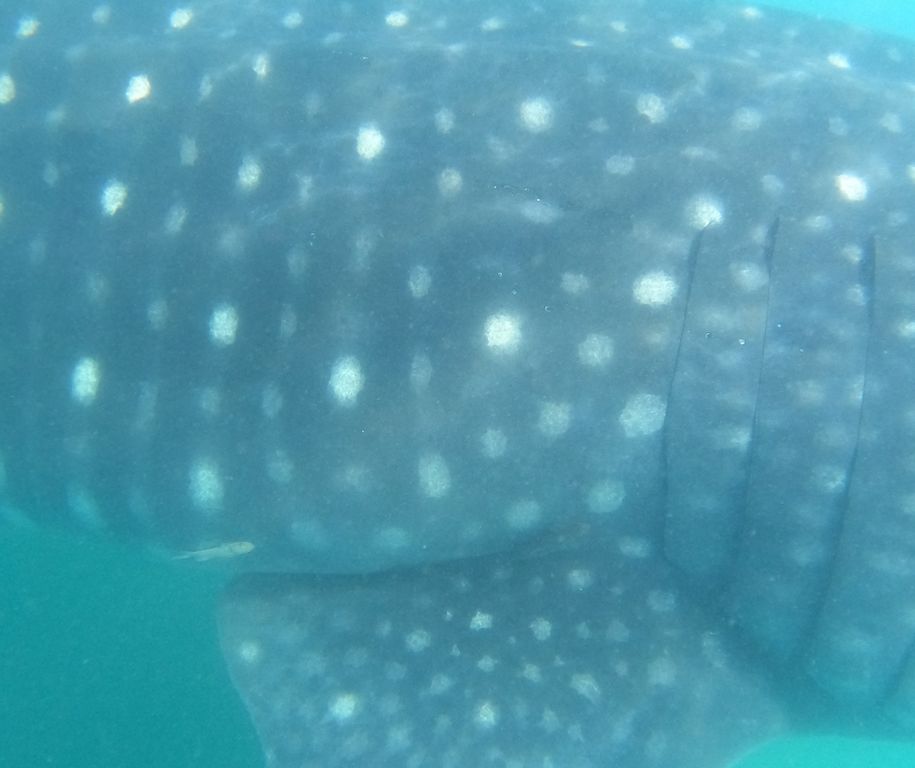 3504e27e-2993-4739-afb3-ee9f11a09edb