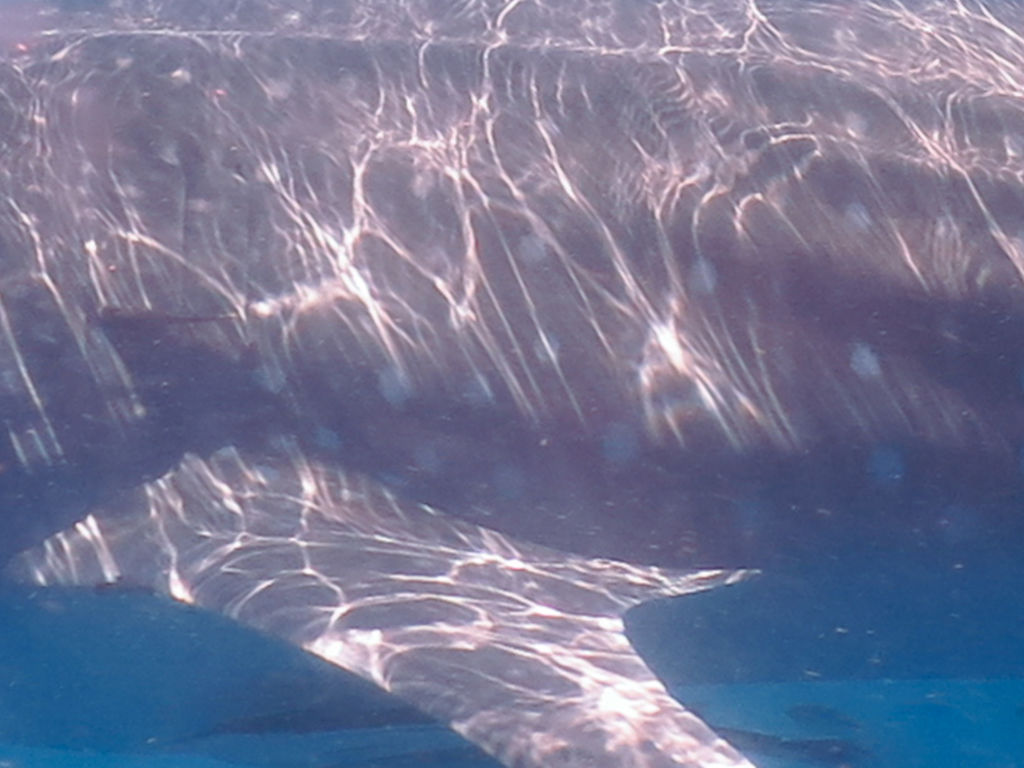 22a5be1e-9a55-441e-aad4-17af6d7fe886