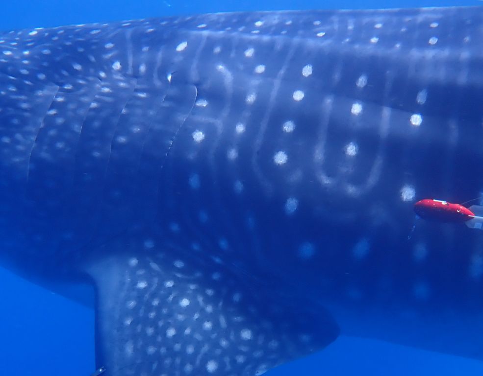 f2b60c89-253b-491c-87f8-8e8c4295831b