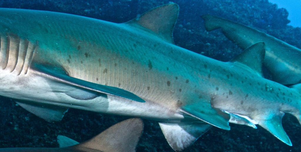 2262e357-43be-4ada-80a1-67455d38b13c