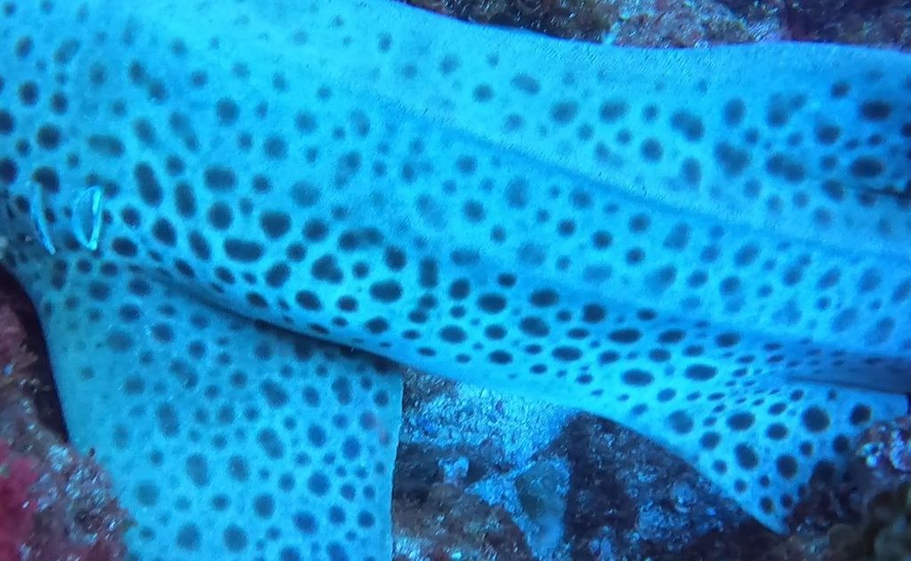 ca13dac3-babb-4a4e-9b70-5731f058892d