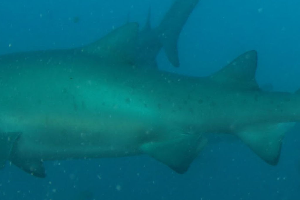 8a269af6-7cf8-4692-ac0e-f02a0fd01aac