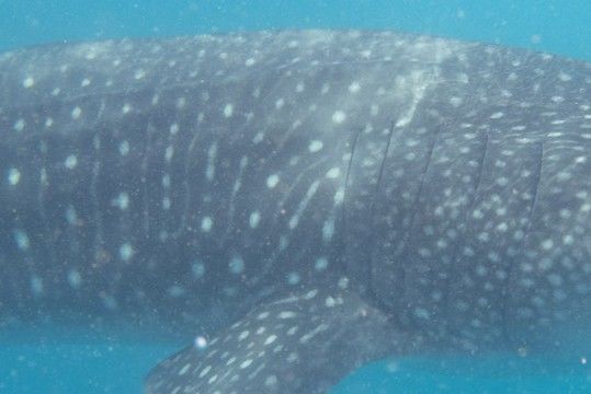 d1c43b26-0f2d-4af9-90dd-db1460720e24