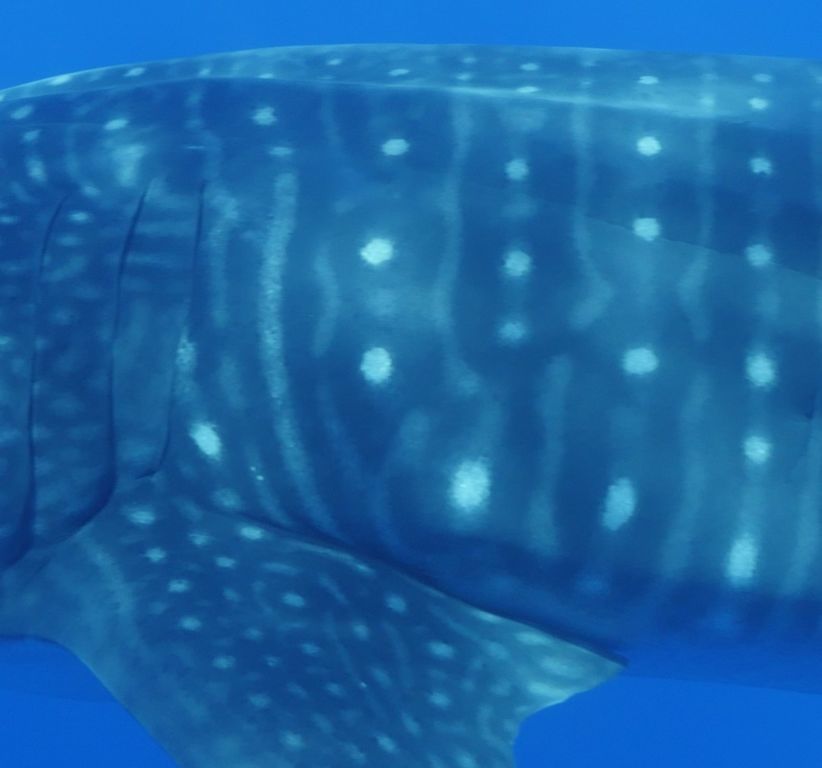 264b23cd-54b4-4c7f-a2e7-ef5c8503ed76