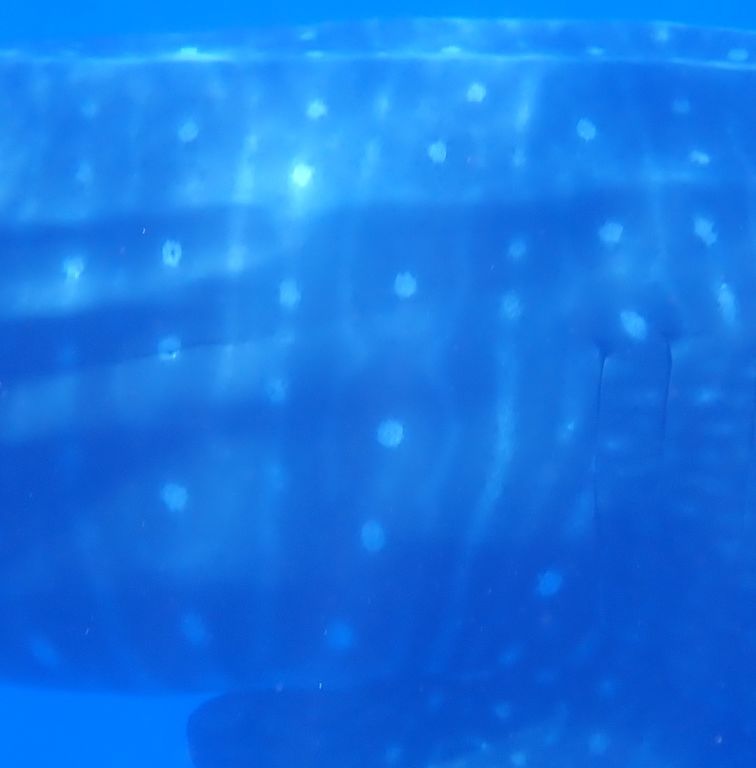 264b23cd-54b4-4c7f-a2e7-ef5c8503ed76