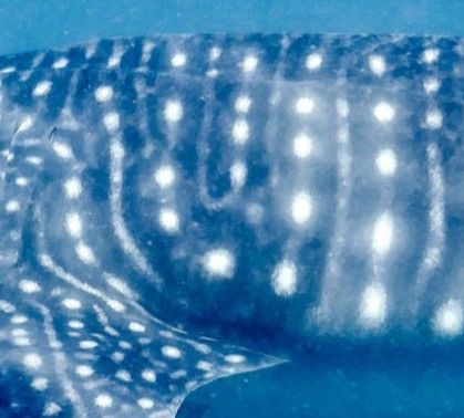 f58d86c7-9f77-4e2d-aa3c-8b5557fdb775