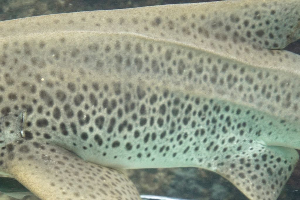 0f16f8d8-f6ad-462c-a672-727744828b43