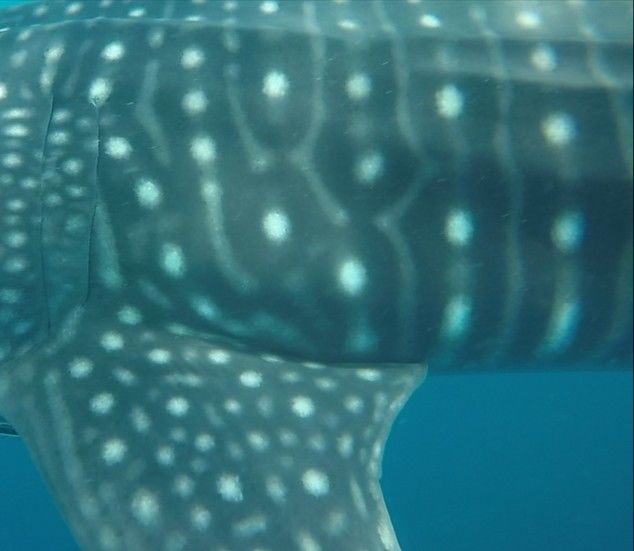 bdfbda7a-3e93-4ccf-b6b4-65384cc2c071