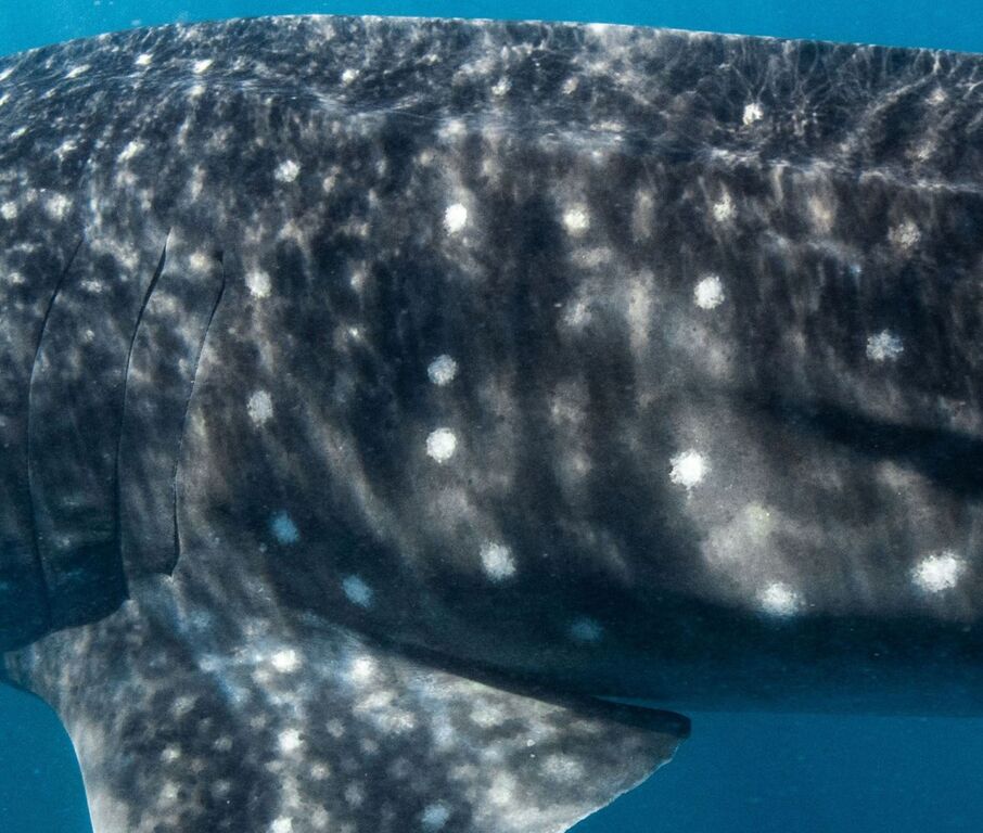 61db70eb-8ab4-4fe3-b012-908501f483d7