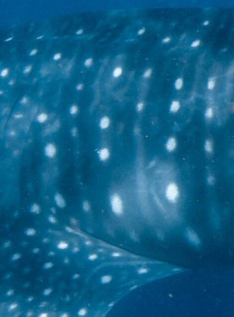 0a3d9d00-6c77-4e1b-8bf6-69559b4eb94a