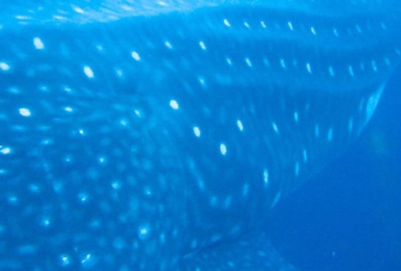 1e565d1f-f186-4eb4-ae8e-c8ebbf226d0c