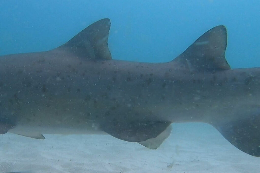 b257f42f-d8bb-444d-9a9c-d35e27ce0864