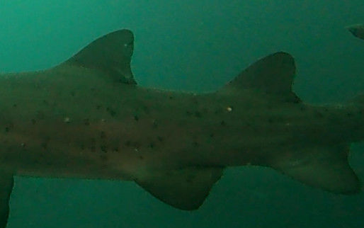 ec3d3636-cee4-4c1a-b366-dda0b8f3b512