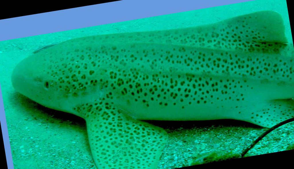 f8ddb3a7-8377-44be-85e0-104ffdab8fd7