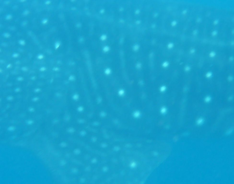 dcf65be3-80b8-456a-b0d6-9942b064dfd8