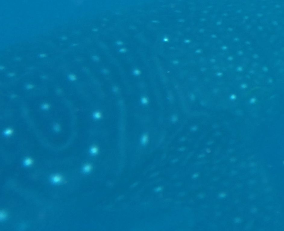 dcf65be3-80b8-456a-b0d6-9942b064dfd8