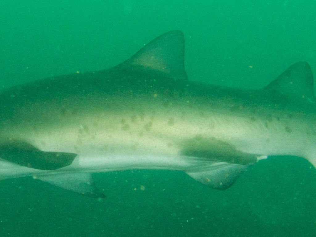 c601e735-aa86-4032-b066-a84ac664ab2f