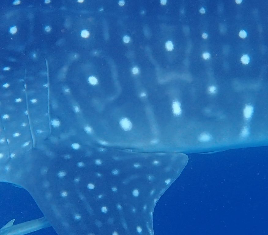 7a9a95f6-85fa-469b-8a41-e9ce733cc6bd