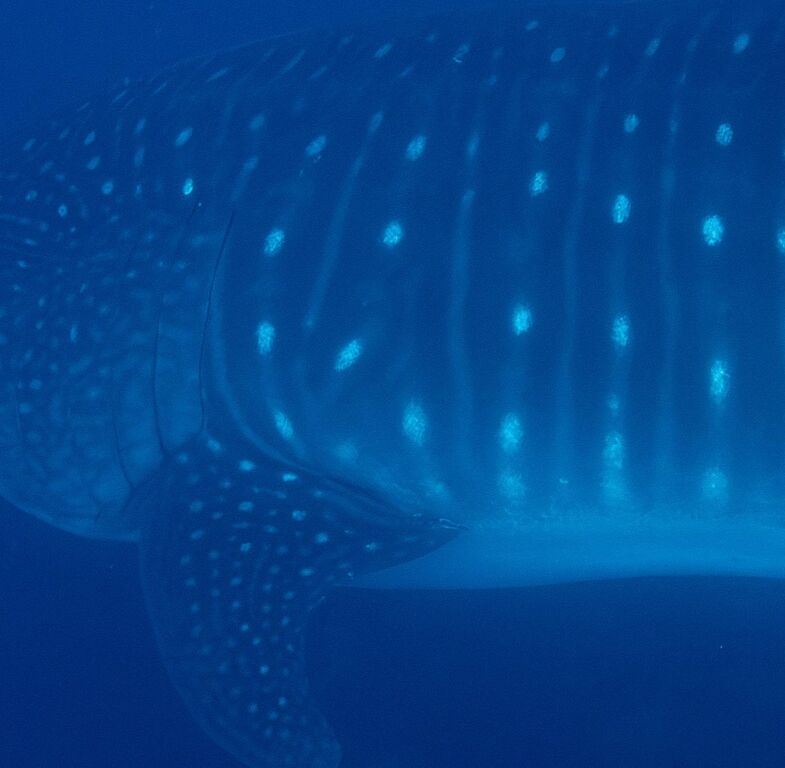 50cbd4b7-ac15-423c-9ae9-3c4f55567e39