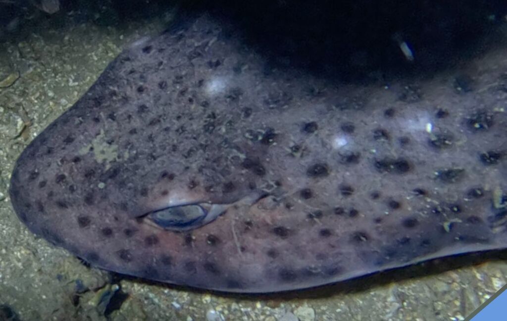 8c54c7fb-a162-4a57-9763-b70330376d9b