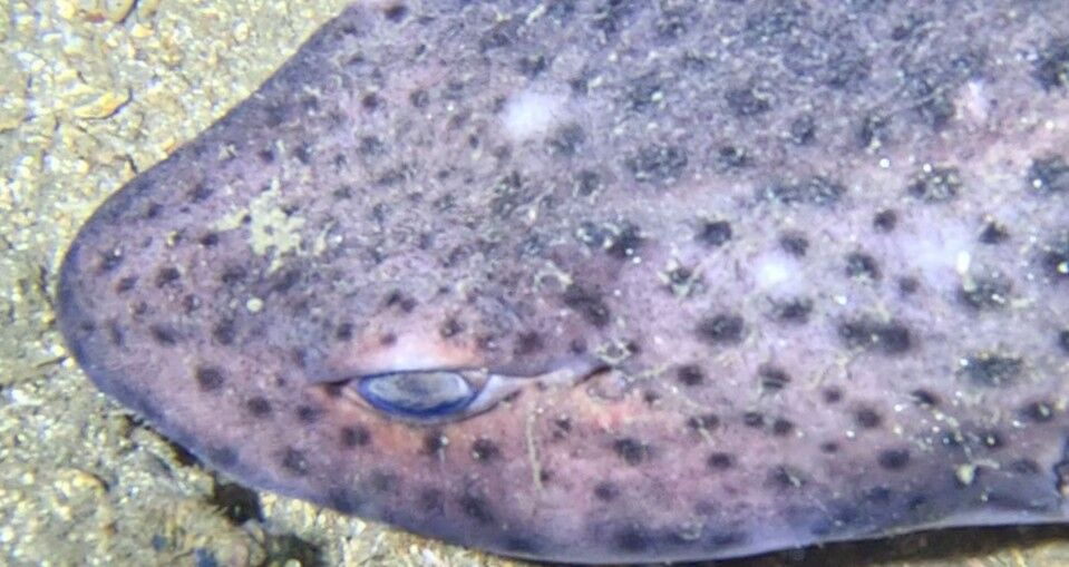 8c54c7fb-a162-4a57-9763-b70330376d9b