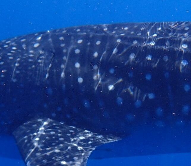 7270f45f-505b-4d2d-b4d4-6d0f6627c15c