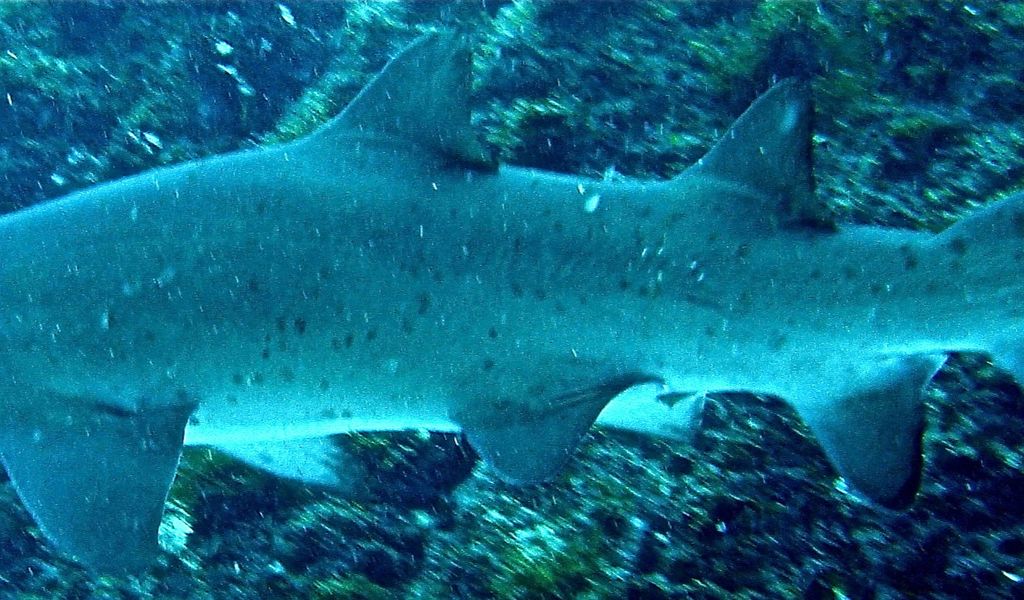 54cb290a-73a7-4f8c-9229-a86f52b17950