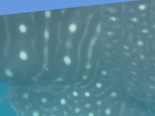 3b52337d-26e1-4d82-9b6d-21e5eb33c9ad