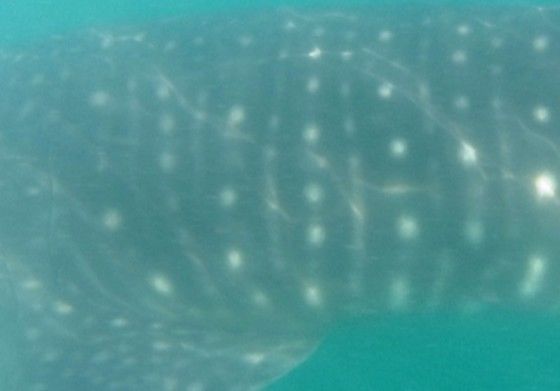 7cfcb547-29b3-4000-91b1-ff0f7b3b9e7a