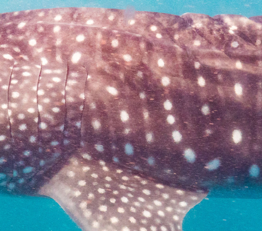 4c487ea2-99ac-4eb2-b1b3-5544460f1043