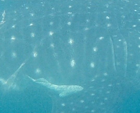 0bd62c40-b995-4120-99ad-15342ee298ac