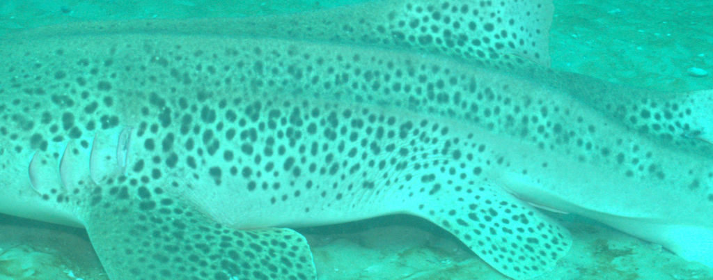 1a8ffb1a-5cd2-4843-a685-dfd56ec8789b