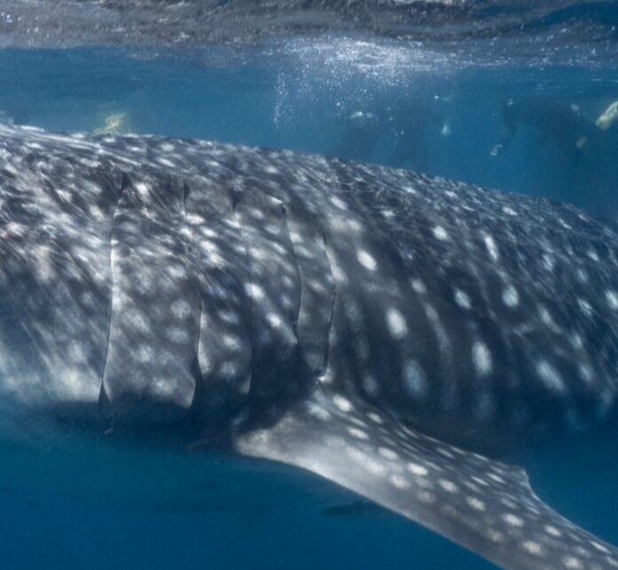 e1c2a57d-d8e3-497e-8209-c505a743c773